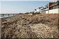 Rubbish Strewn River Bank