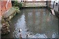 Mill on the brook