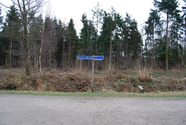 Signpost for National Cycleway 1, Clowes Wood (2)