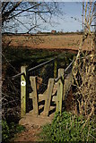 SO6731 : Footbridge over Kempley Brook by Philip Halling