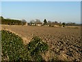 Cottages beyond the furrows