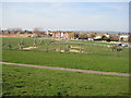 Kiddies play area at Thorney Bay