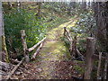 A rustic footbridge