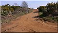 Track near Gosdens Heath