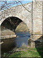 Swans below Forteviot Bridge