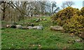 The Site Of Brockloch Castle