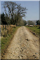 A farm track at Larriston