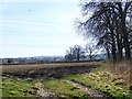 Footpath, Feltham Farm