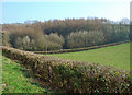 Dry valley near Pen-y-banc, Meidrim