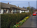 Beck Lane, Appleby