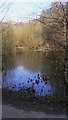 Pond on River Common