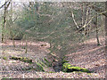 Epping Forest: minor stream