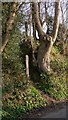 Steep footpath at River, West Sussex