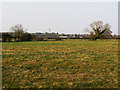 Field near Coped Hall