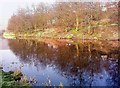 Cwmcelyn Pond, Blaina.