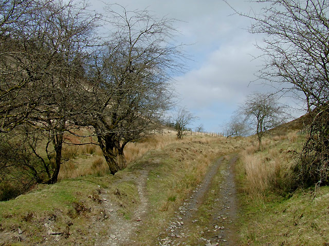 Trackway north of Cwrt-y-Cadno, Carmarthenshire