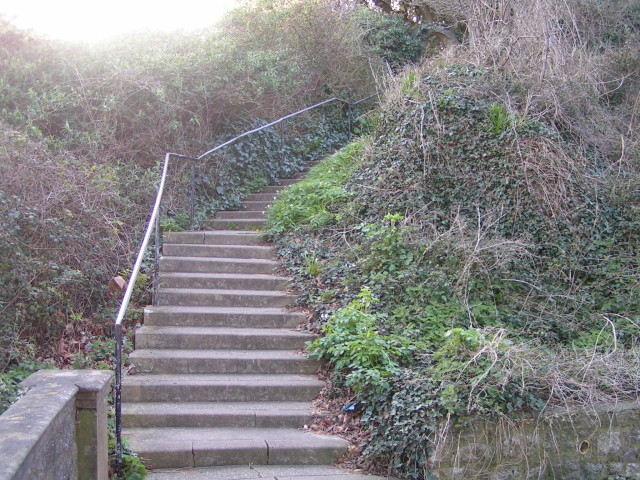 Steps on the South West Coast path