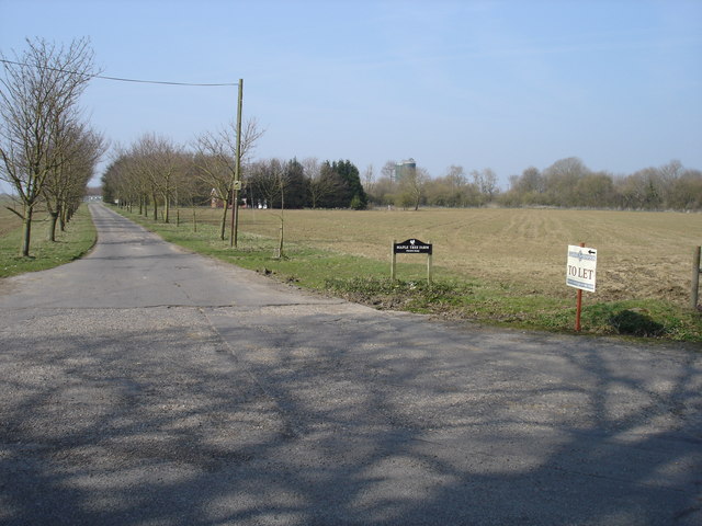 Road leading to Maple Tree farm