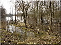 Pond (or reservoir) opposite Maple Tree farm