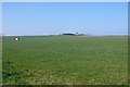 Farmland near Pound farm