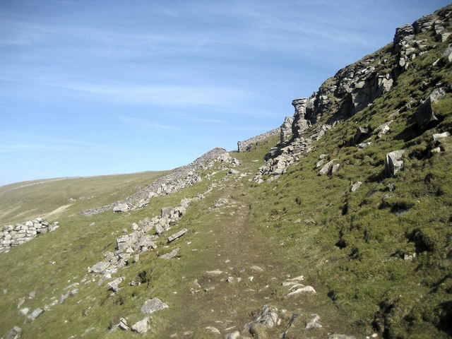 Track on Cow Close