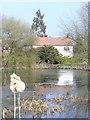 Jacobs Well Pond