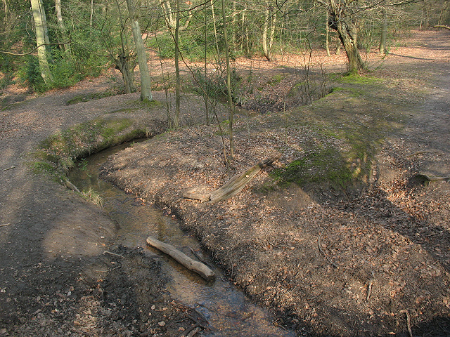 Epping Forest: meanders in a stream
