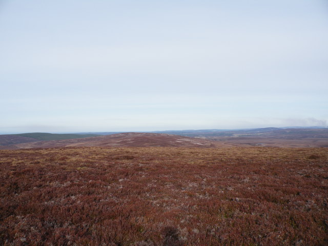 Looking over to 418m top from heather clad 455m top