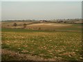 The fields around Dane End