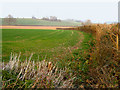 Field near Crossfield Farm