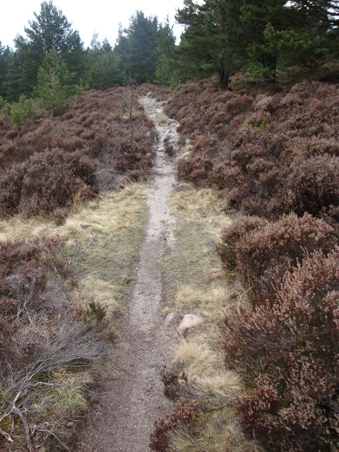 Track as it enters woodland