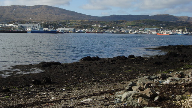 Carntullagh shore