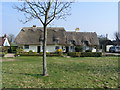 Thatched Houses Stebbing Green