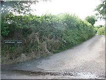 SS9818 : Mid Devon : Spurway Farm Entrance by Lewis Clarke