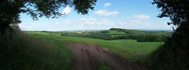 Mid Devon : Countryside Greenery