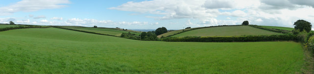 Mid Devon : Countryside & Fields