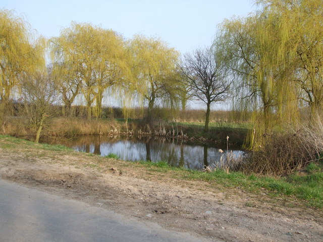 Pond near Brind Leys Farm