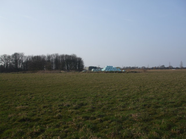 Haylage bales near Breighton Airfield