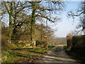 Gateway and drive to Lewcombe