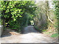 Footpath to Wick Hill, Finchampstead