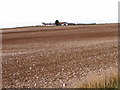 High Easton Farmland