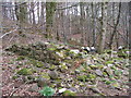 Ruined Building on Braes of Slack o