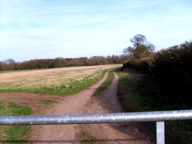 Lower Hattons Track