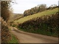 Valley beside Trusham Quarry