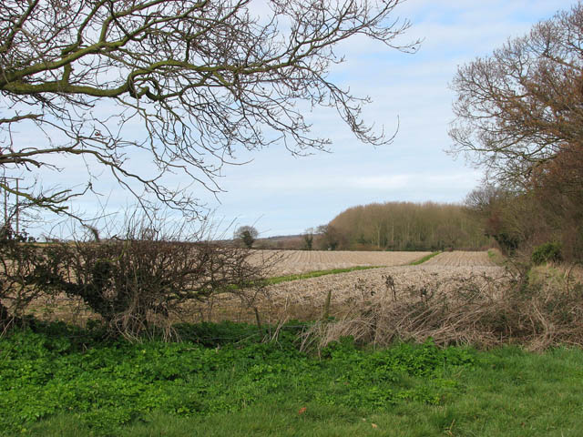 Field adjoining pasture