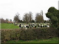 Ruddington - Vicarage Lane Cemetery