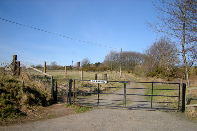 View of track leading to Balmashanner