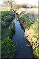 Stream Near Holnest.