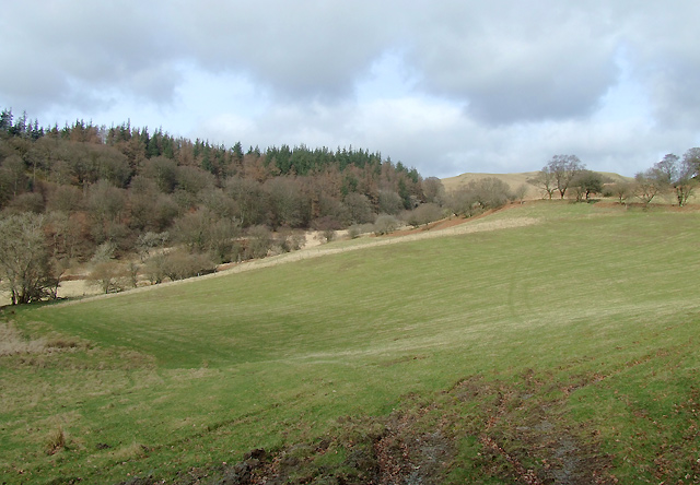Pasture near to Pont-Rhyd-y-Groes, Ceredigion