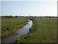 Burton, Clockhouse Stream